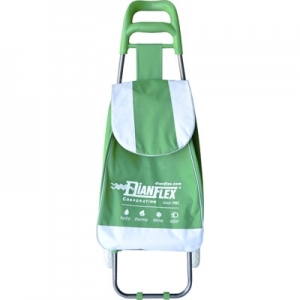 SHOPPING CART DIANFLEX